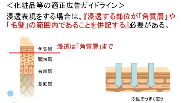 化粧品 広告 における 肌への浸透表現 の限界【LINE@-薬事006